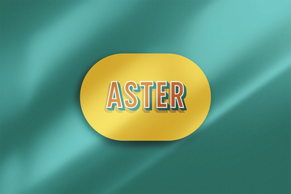 Geboortekaartje Aster