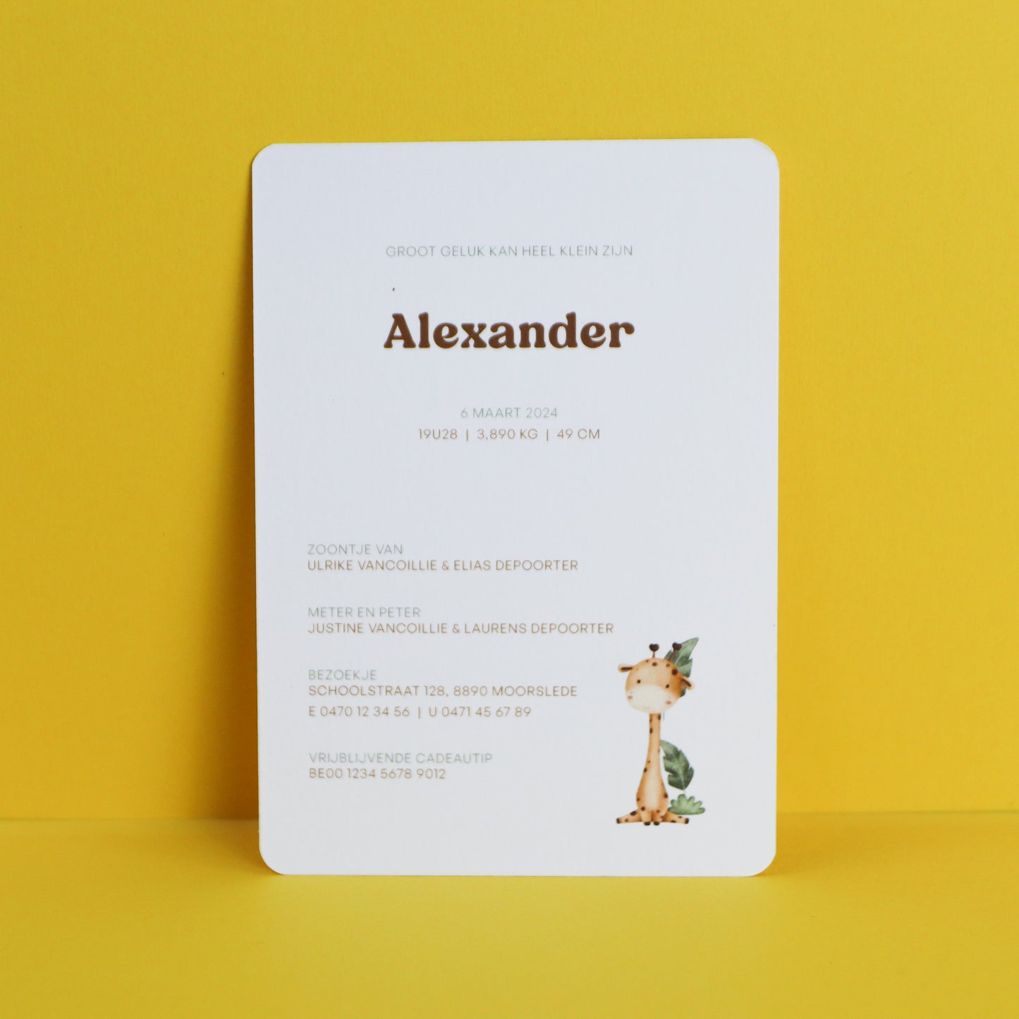 Geboortekaart Alexander