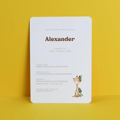 Geboortekaart Alexander